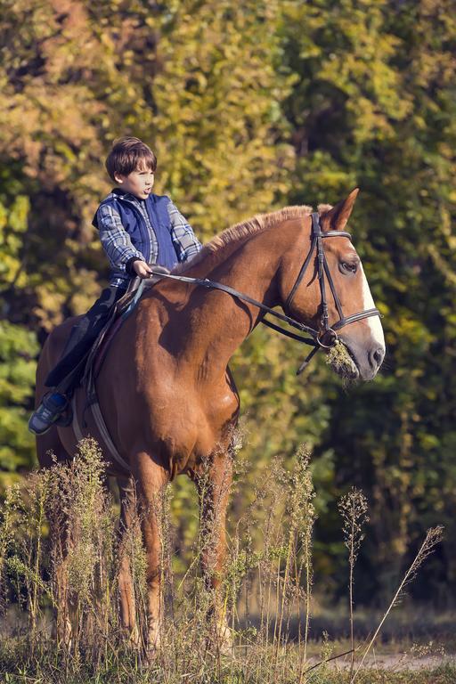 Willa La Borda Del Zarrastiecho Sallent de Gállego Pokój zdjęcie